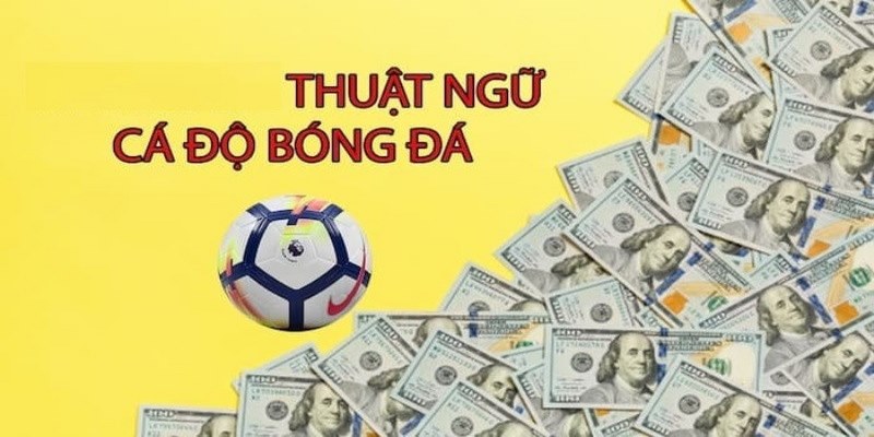 Tầm quan trọng của các thuật ngữ cá độ bóng đá hiện nay