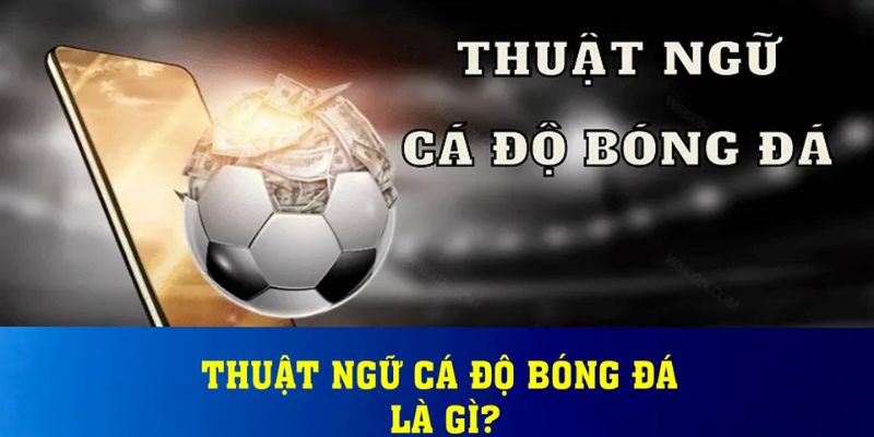Phân loại thuật ngữ cá độ bóng đá dựa trên hình thức chơi
