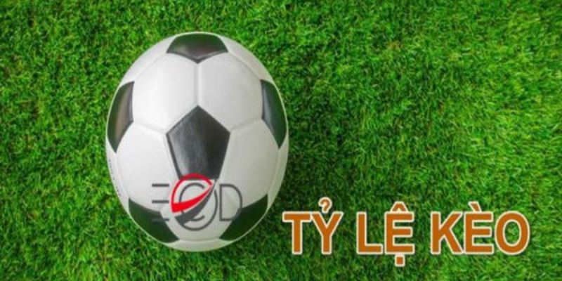 Cụ thể khái niệm tỷ lệ kèo là gì cho người mới