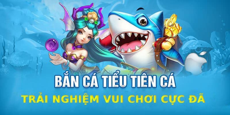Bắn cá tiểu tiên cá có các cấp độ phòng chơi nào?