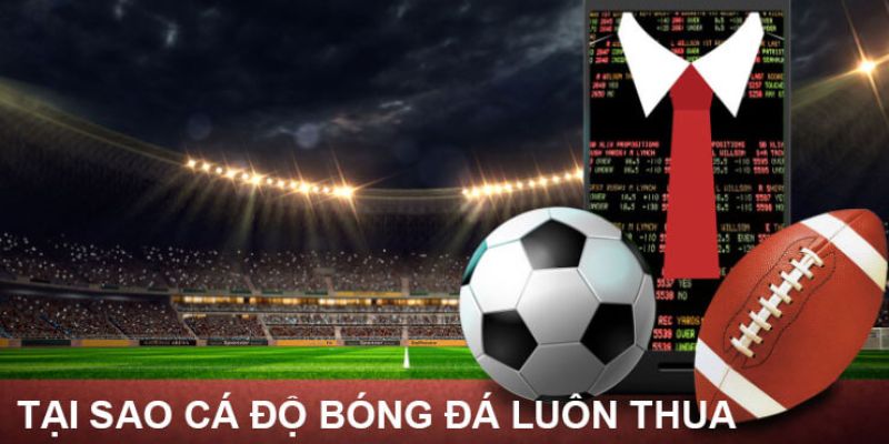 Giải Mã Nguyên Nhân Và Giải Pháp Cho Cá Độ Bóng Đá Luôn Thua