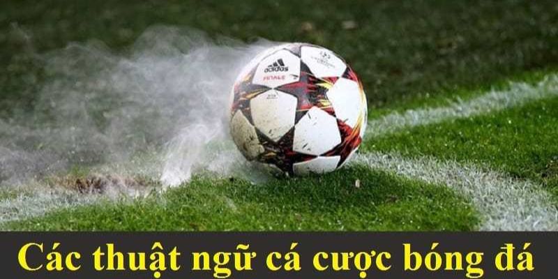 Thuật ngữ cá độ bóng đá về các loại kèo cược