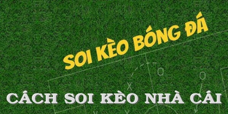 Bí kíp soi kèo bóng đá trực tuyến hiệu quả dành cho tân thủ