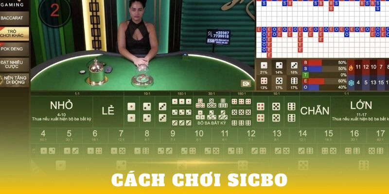 Hướng dẫn trải nghiệm Chơi Sicbo