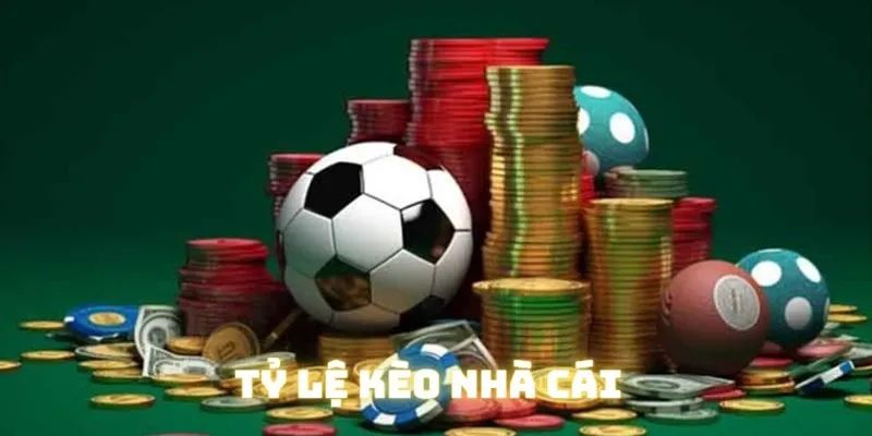 Tỷ Lệ Kèo 5 - Mọi Thông Tin Thú Vị Để Người Mới Soi Cầu