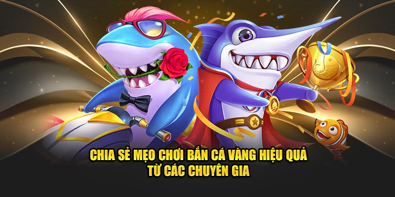 Mẹo chơi bắn cá vàng đỉnh cao săn thưởng khủng