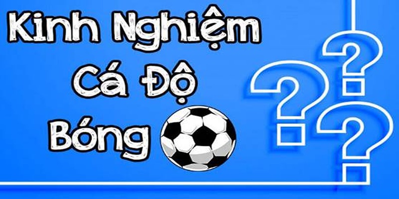 Các chuyên gia cá cược hàng đầu tại i9BET