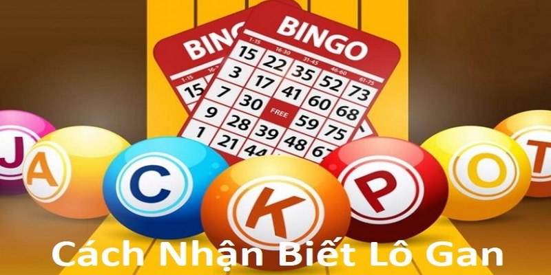 Làm sao để biết con nào là lô gan?