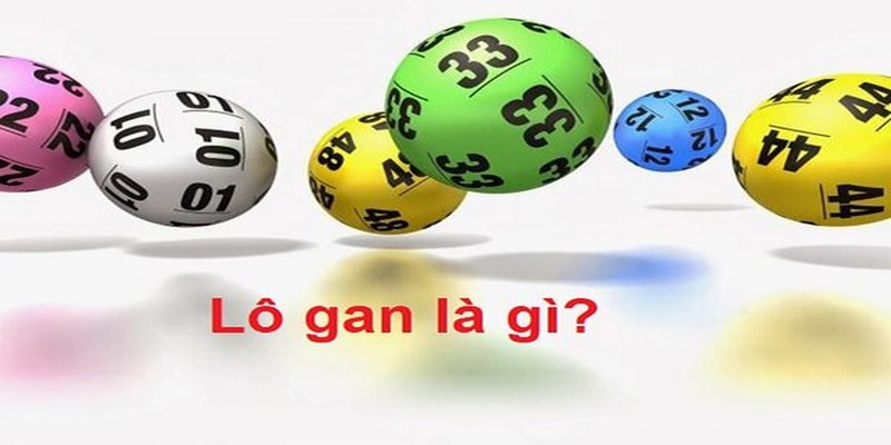 Đi tìm lời giải cho thắc mắc: Lô gan là gì?