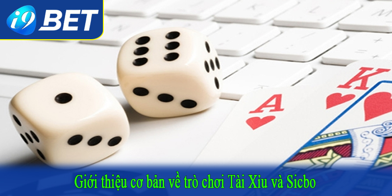 Giới thiệu cơ bản về trò chơi Tài Xỉu và Sicbo