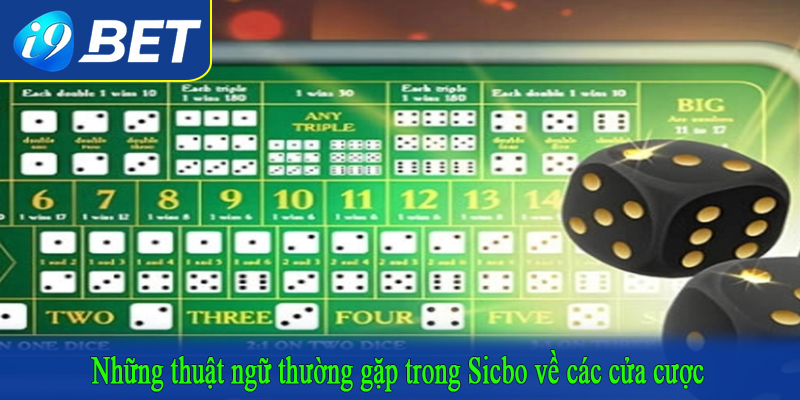Những thuật ngữ thường gặp trong Sicbo về các cửa cược