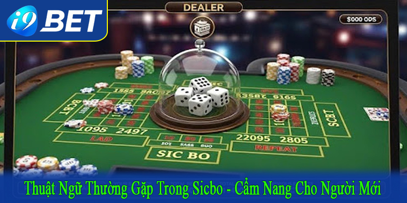 thuật ngữ thường gặp trong Sicbo