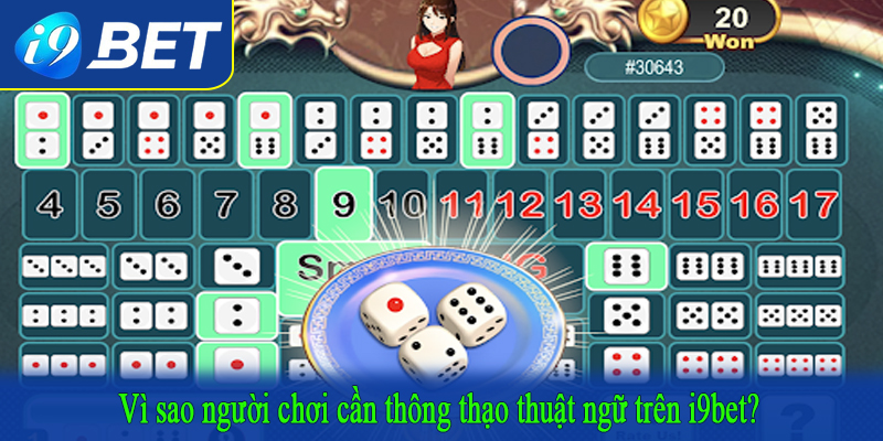 Vì sao người chơi cần thông thạo thuật ngữ trên i9bet?