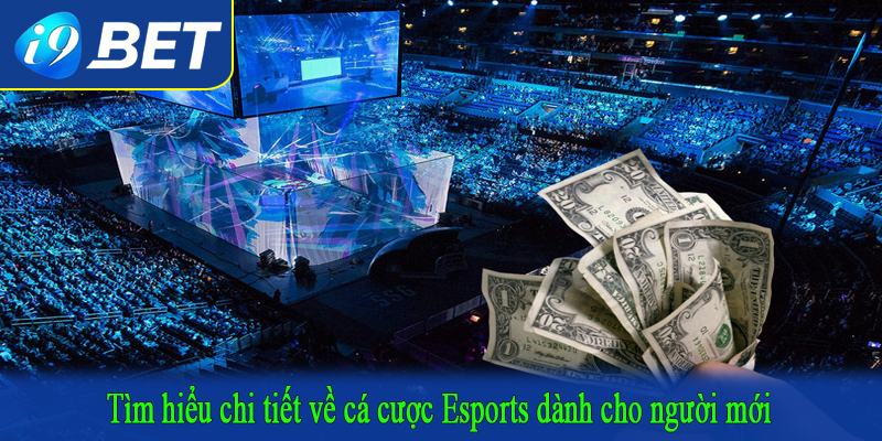 Tìm hiểu chi tiết về cá cược Esports dành cho người mới