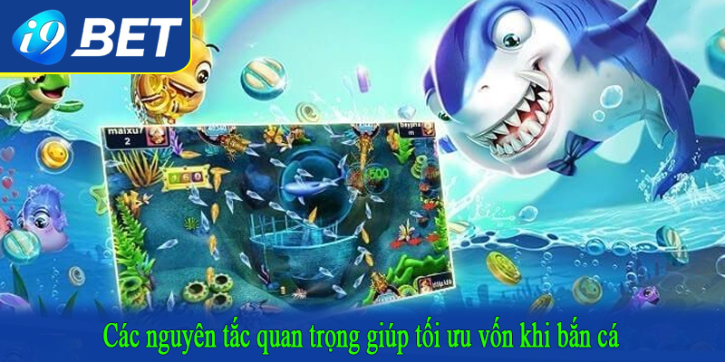 Các nguyên tắc quan trọng giúp tối ưu vốn khi bắn cá