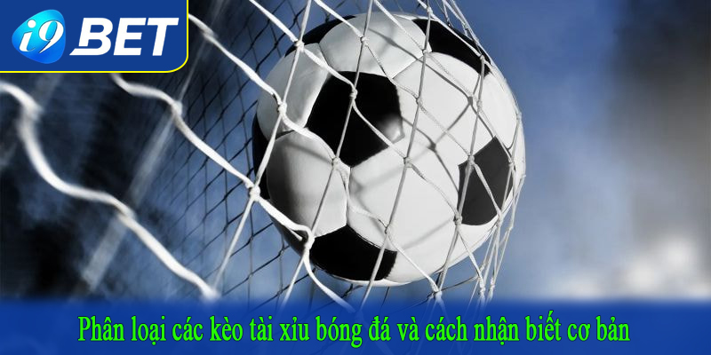 Phân loại các kèo tài xỉu bóng đá và cách nhận biết cơ bản